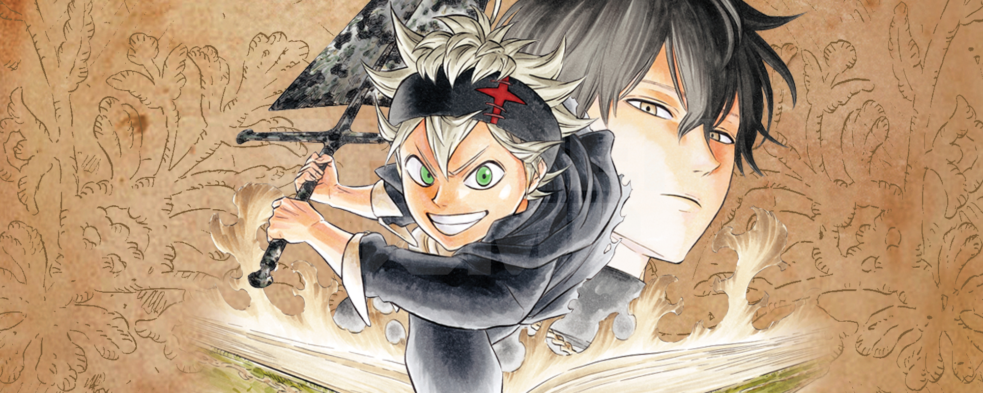 Многотомное издание «Black Clover» — 34 книги