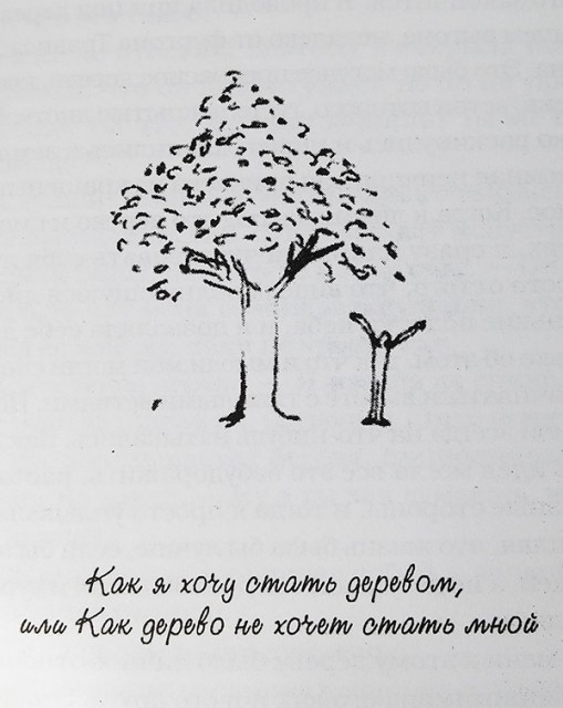 картинка kani