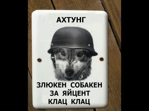 картинка kittymara