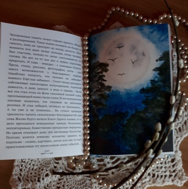 картинка kotrian