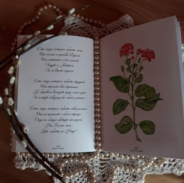 картинка kotrian