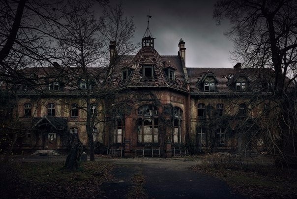 картинка kotrian