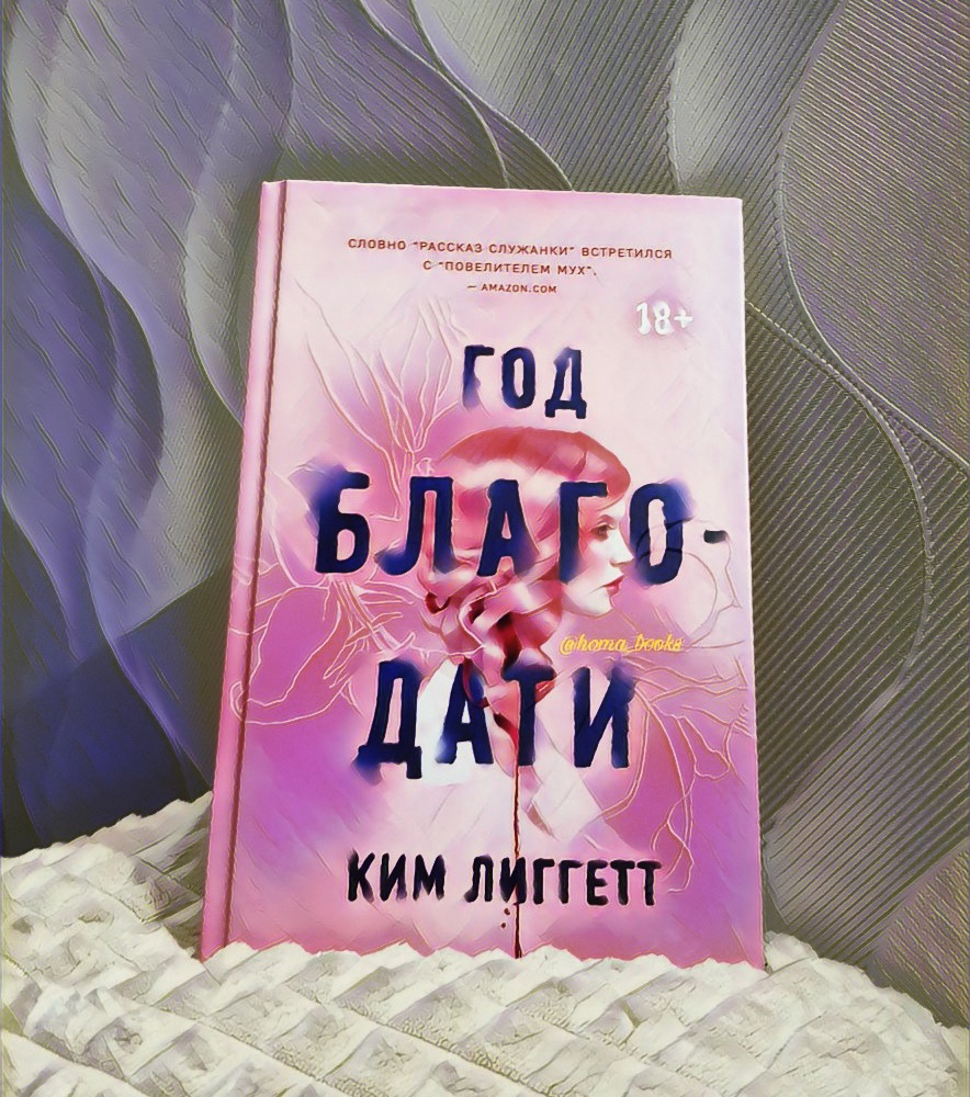 Год благодати книга