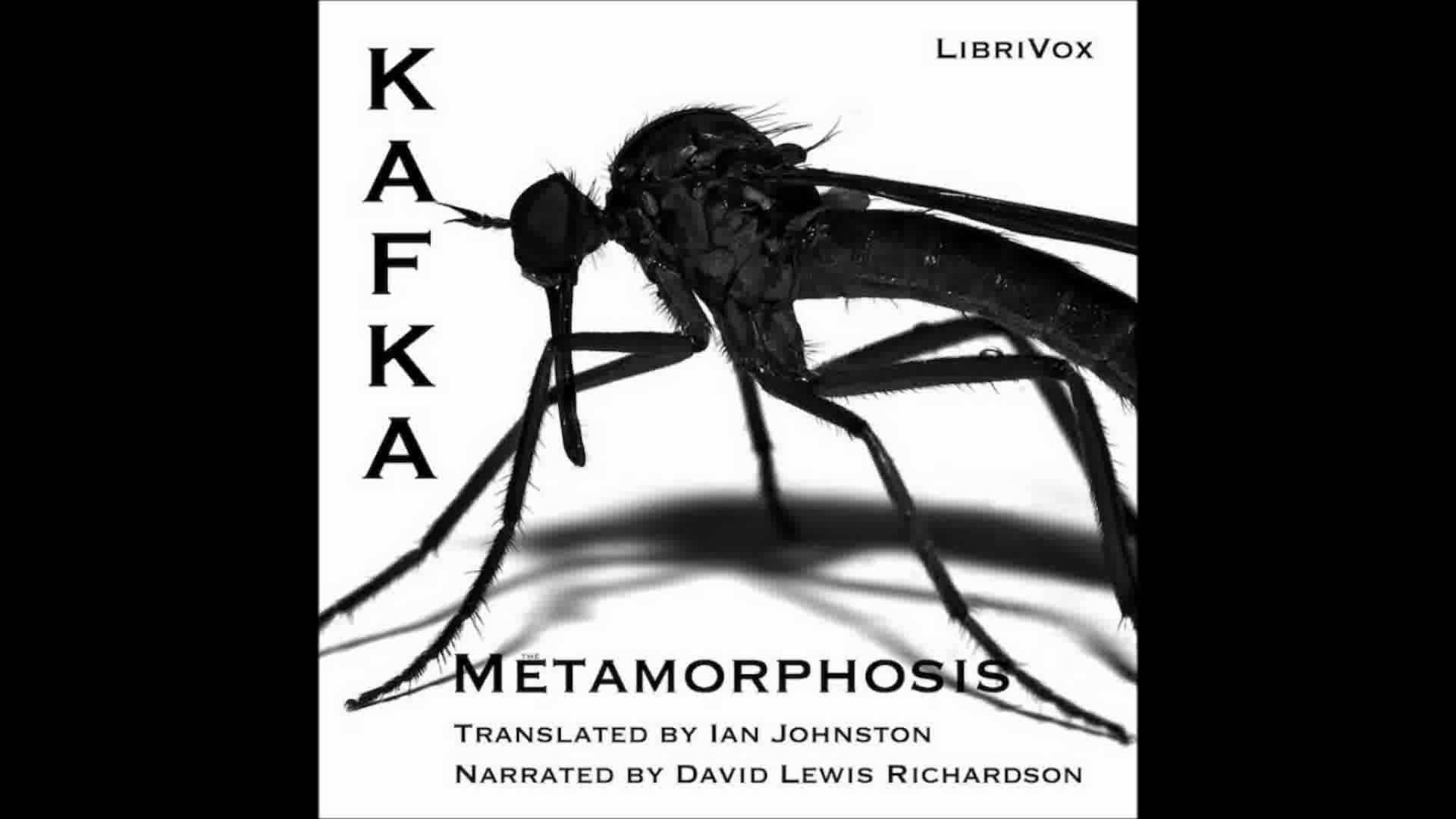 Включи metamorphosis 2. Franz Kafka Metamorphosis. The Metamorphosis by Franz Kafka.