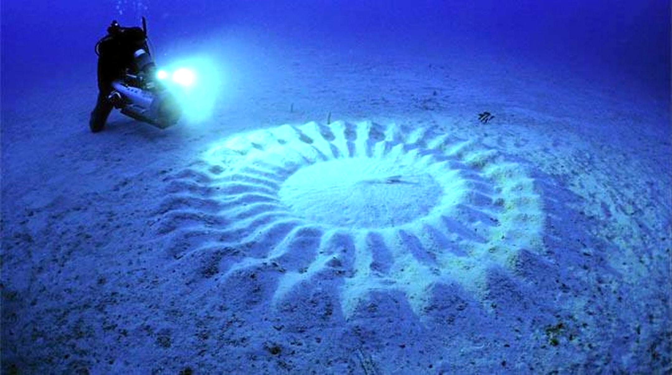 Трудно поверить. Подводные «круги на полях», Япония. Японский иглобрюх рыба. Загадочные явления в океане. Странные подводные объекты.