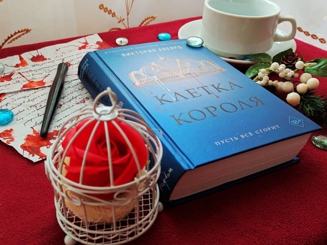 картинка libro_preferito