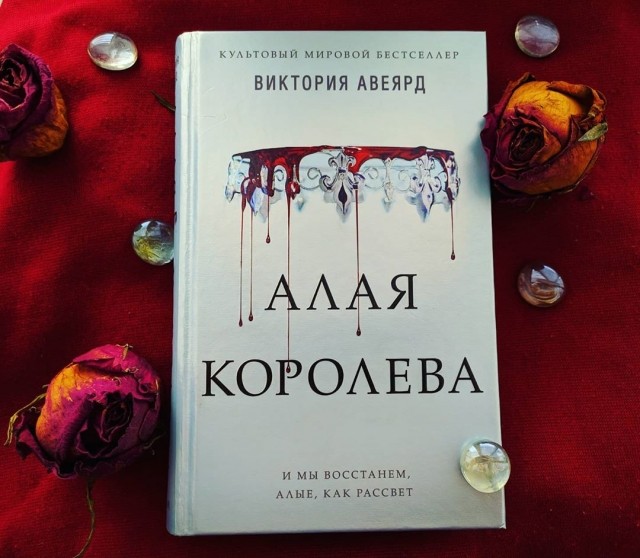 картинка libro_preferito