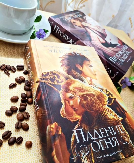 картинка libro_preferito