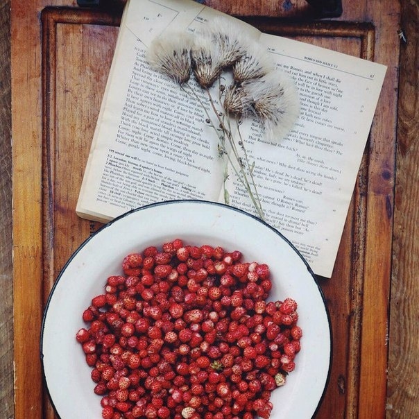 картинка liffa