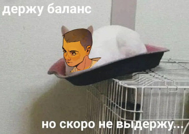 o-r.jpg