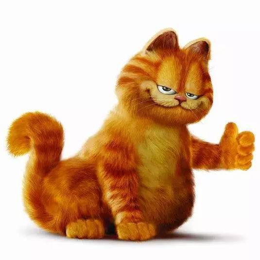 Garfield_1