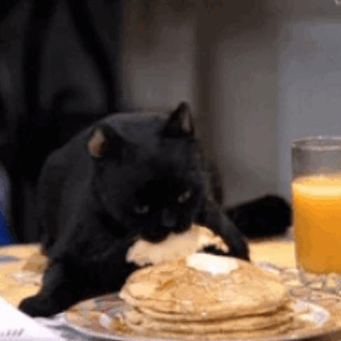 Salem_2-o.gif