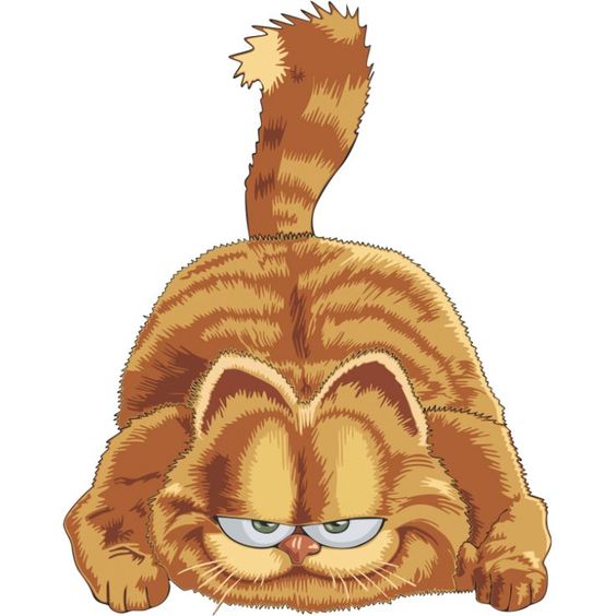 Garfield_2
