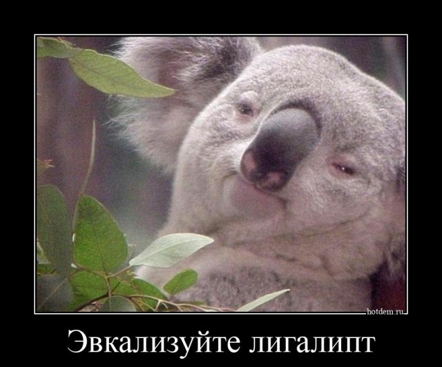 картинка litera_s