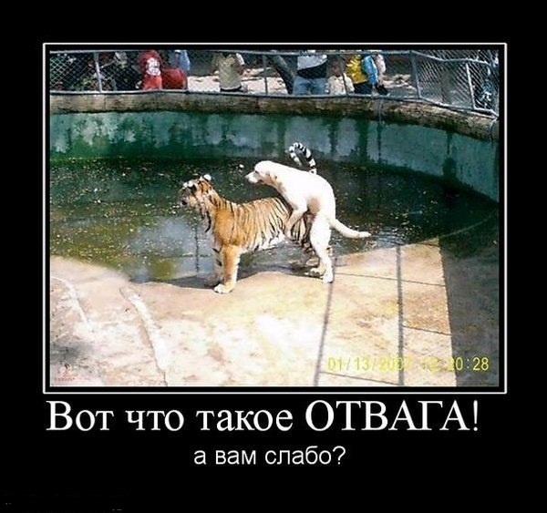 картинка lunarian