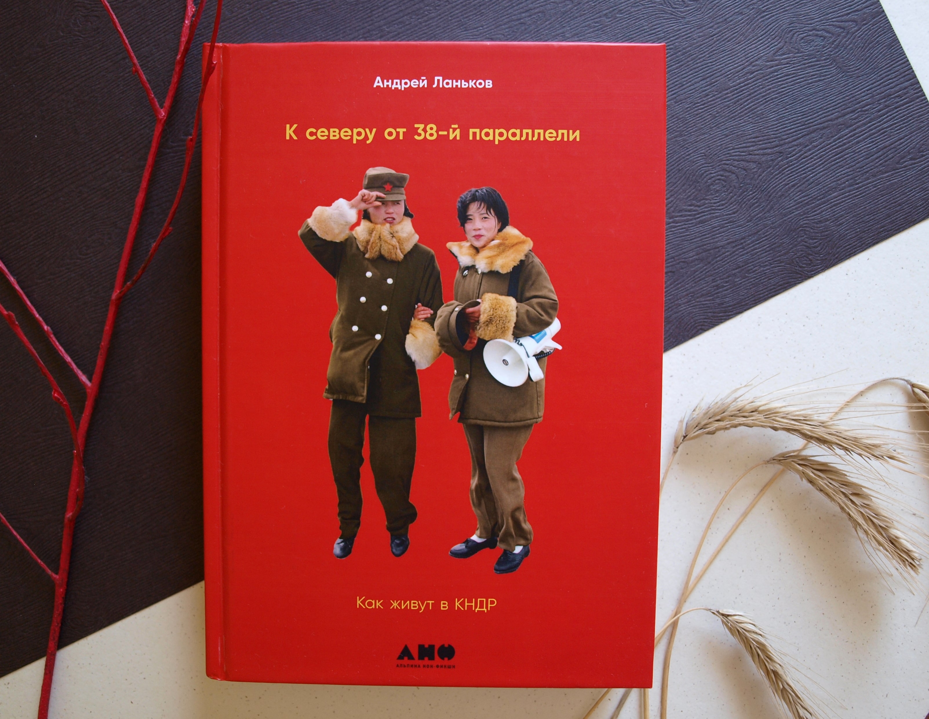 Отзывы о книге «К северу от 38-й параллели. Как живут в КНДР», рецензии на  книгу Андрея Ланькова, рейтинг в библиотеке ЛитРес, страница 5