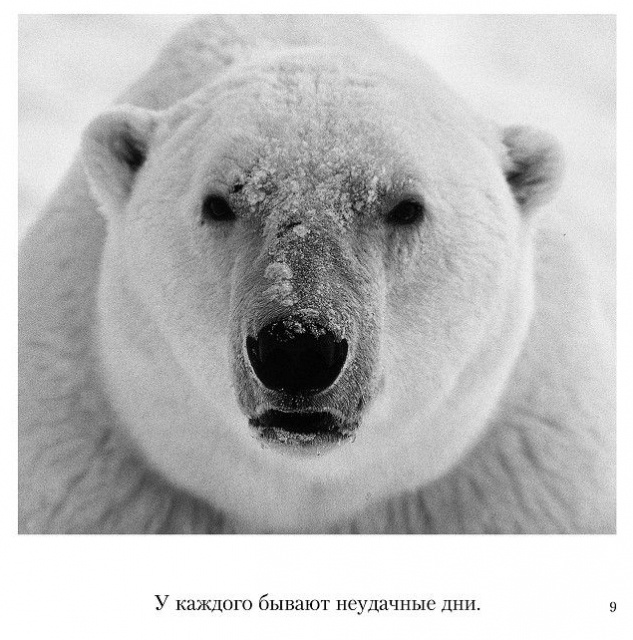 картинка mariepoulain