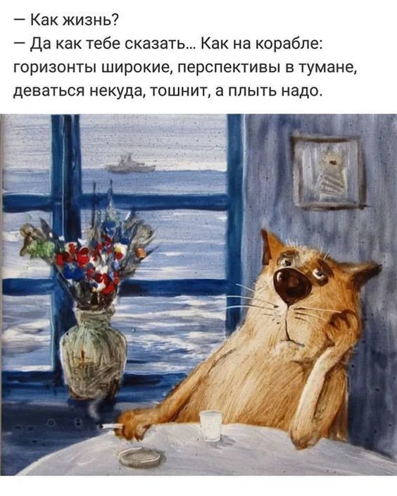 Уилл Боуэн «Мир без жалоб. Прекрати ныть - и жизнь изменится» — отзыв ...