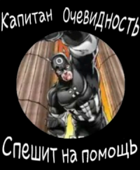 картинка maxidax