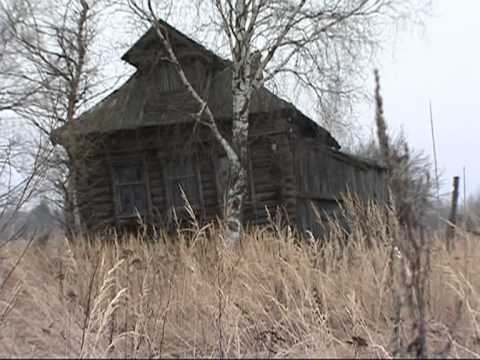 картинка mircalia
