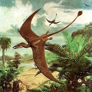 картинка missoduvanchik