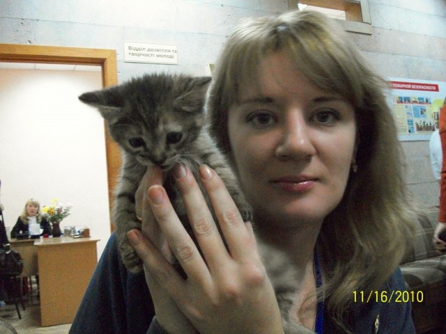 Котик из Луганской молодежной библиотеки
