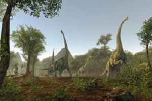 картинка nerolia