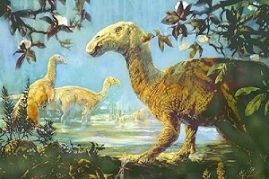 картинка nerolia