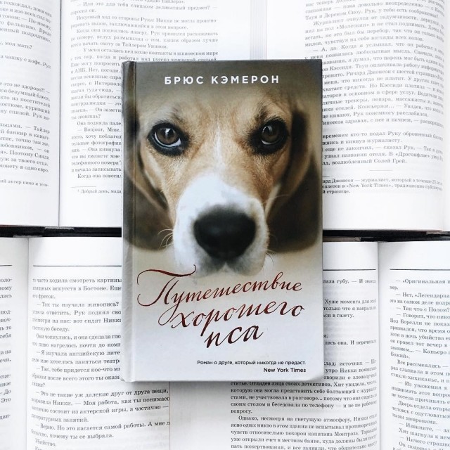 Три минуты ради собаки книга. Брюс Кэмерон путешествие хорошего пса. Книги про собак. Книга про собаку детектива. Книги о собаках Художественные.