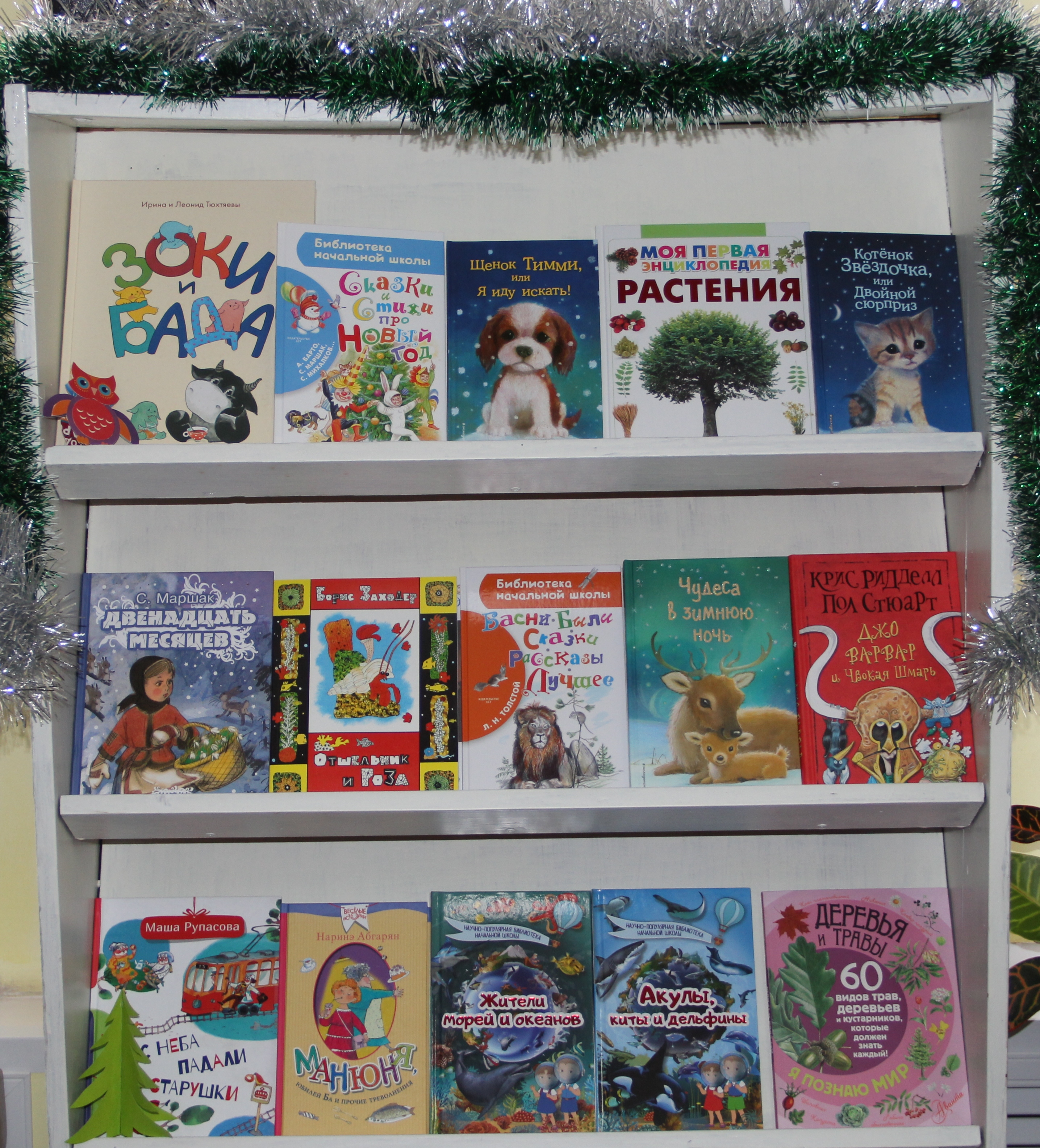 библиотека рубцовск герцина. рубцовск библиотека на рубцовском. детская библиотека рубцовск. 4 библиотека рубцовск. центральная городская библиотека рубцовск.