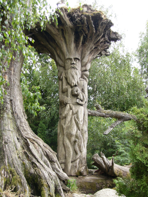 картинка orlangurus