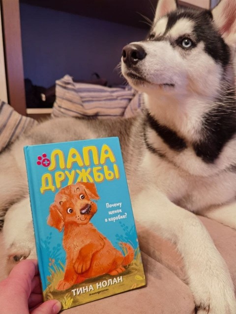 картинка oxnaxy