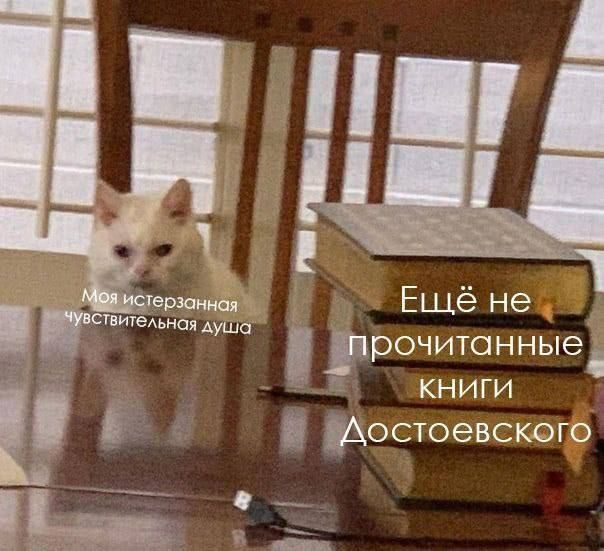 картинка paketorii