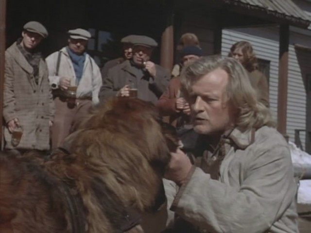 картинка persa