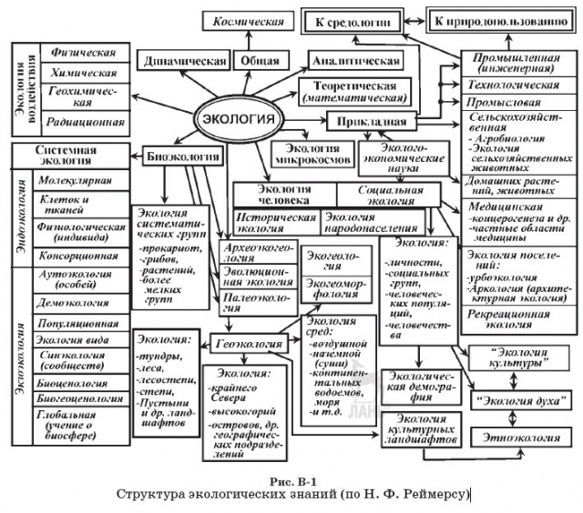 Структура экологических знаний (по Н. Ф. Реймерсу)