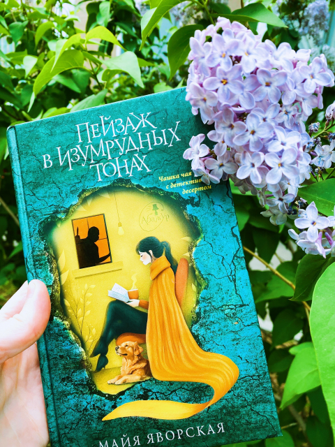 картинка reader-10809953
