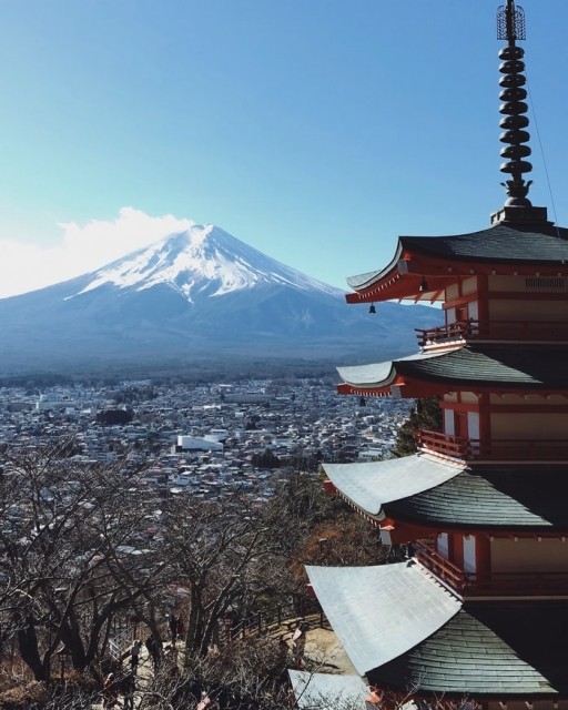 картинка reader-5299285