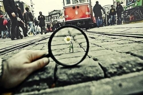 картинка reader261250