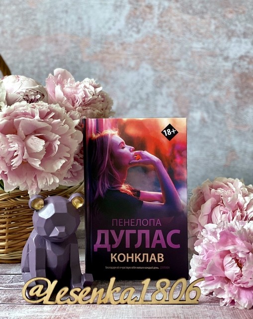 картинка reader513142