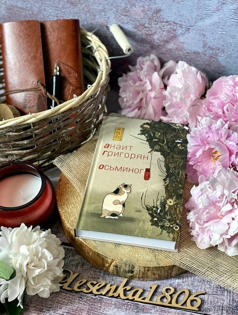 картинка reader513142