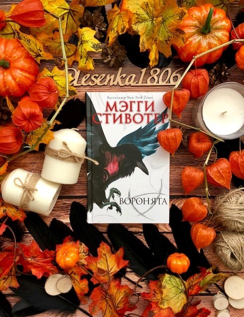 картинка reader513142