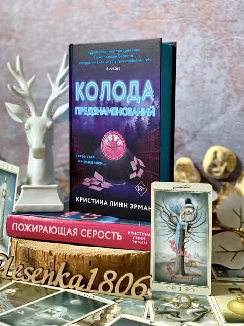 картинка reader513142