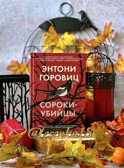 картинка reader513142