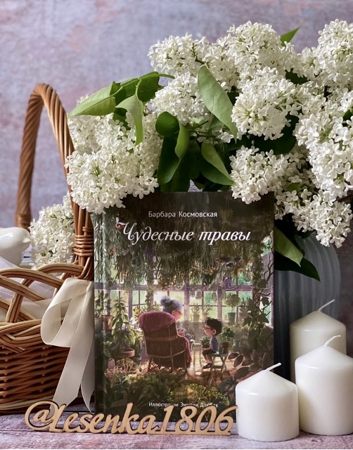 картинка reader513142