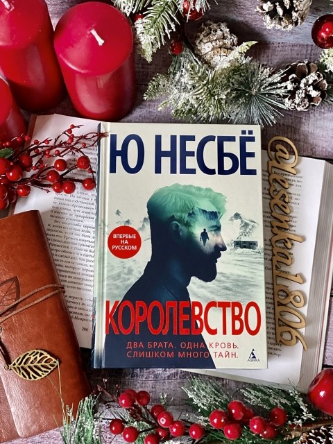 картинка reader513142