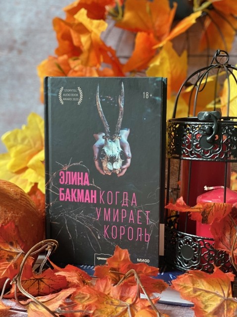 картинка reader513142