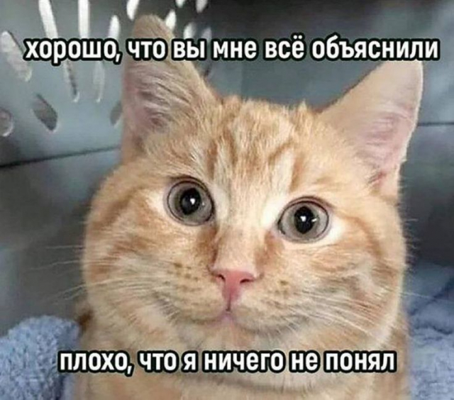 картинка rich_witch