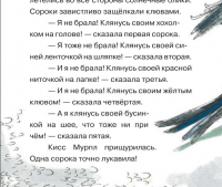 картинка rijka