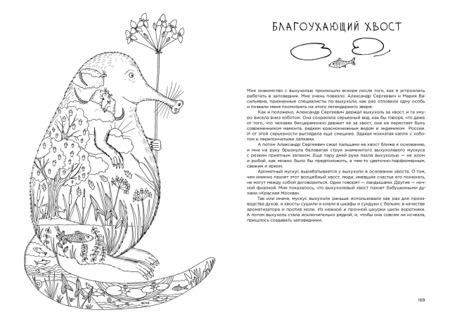 картинка rijka