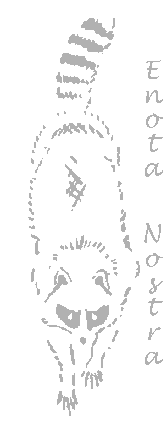 pic0090-o.png